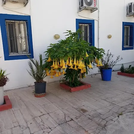 Pay Homestay
