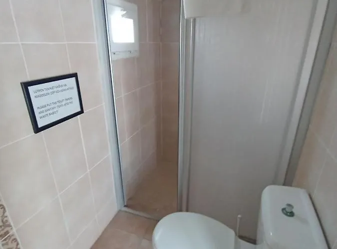 Pay Проживание в семье